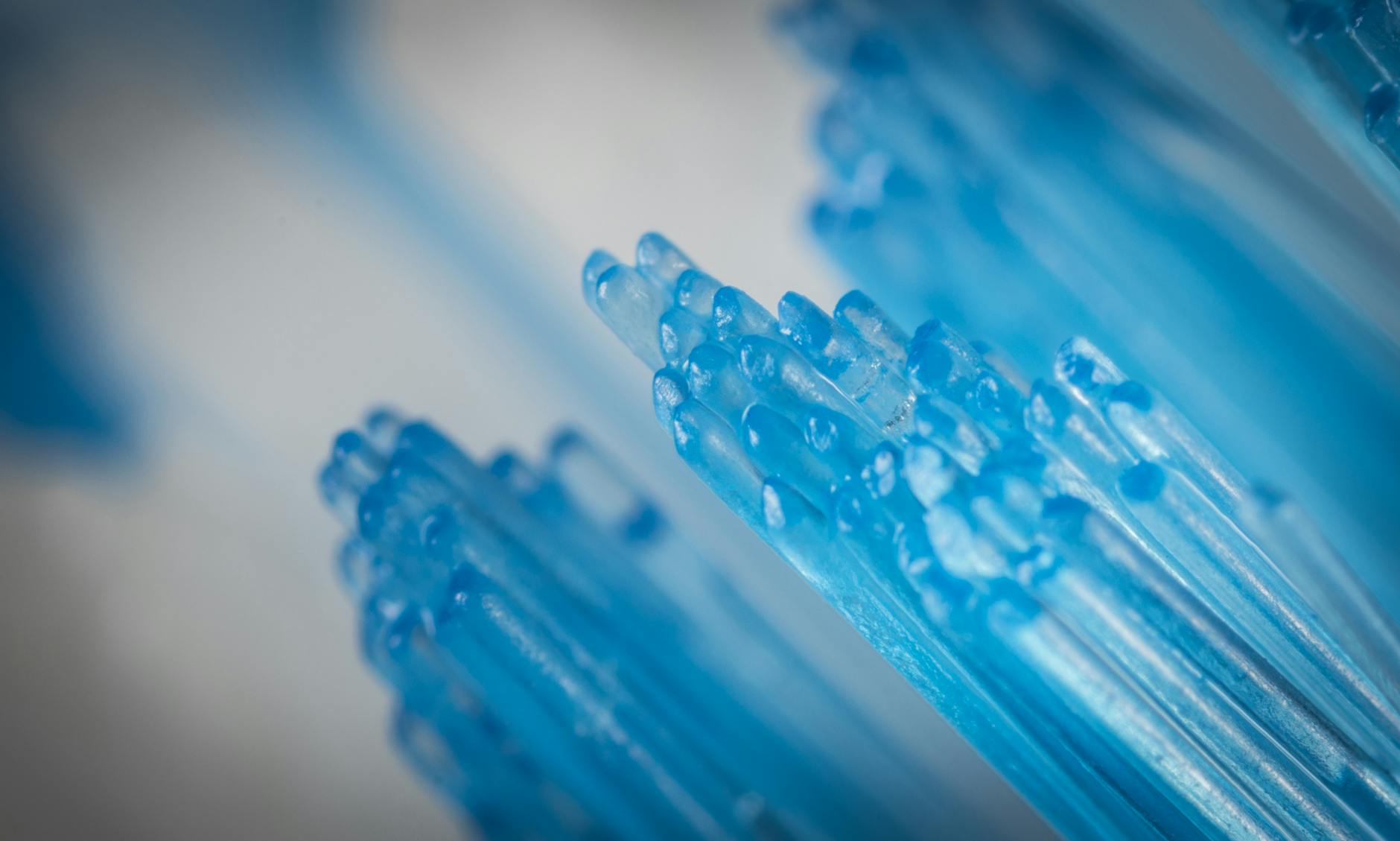 Dental hygiene and prevention